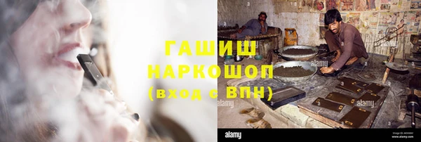 apvp Алзамай