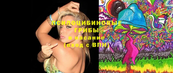 PSILOCYBIN Алексин