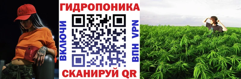 Купить где  Анжеро-Судженск  МАРИХУАНА конопля 